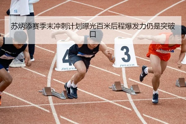 苏炳添赛季末冲刺计划曝光百米后程爆发力仍是突破口 | MKSPORTS MKSports